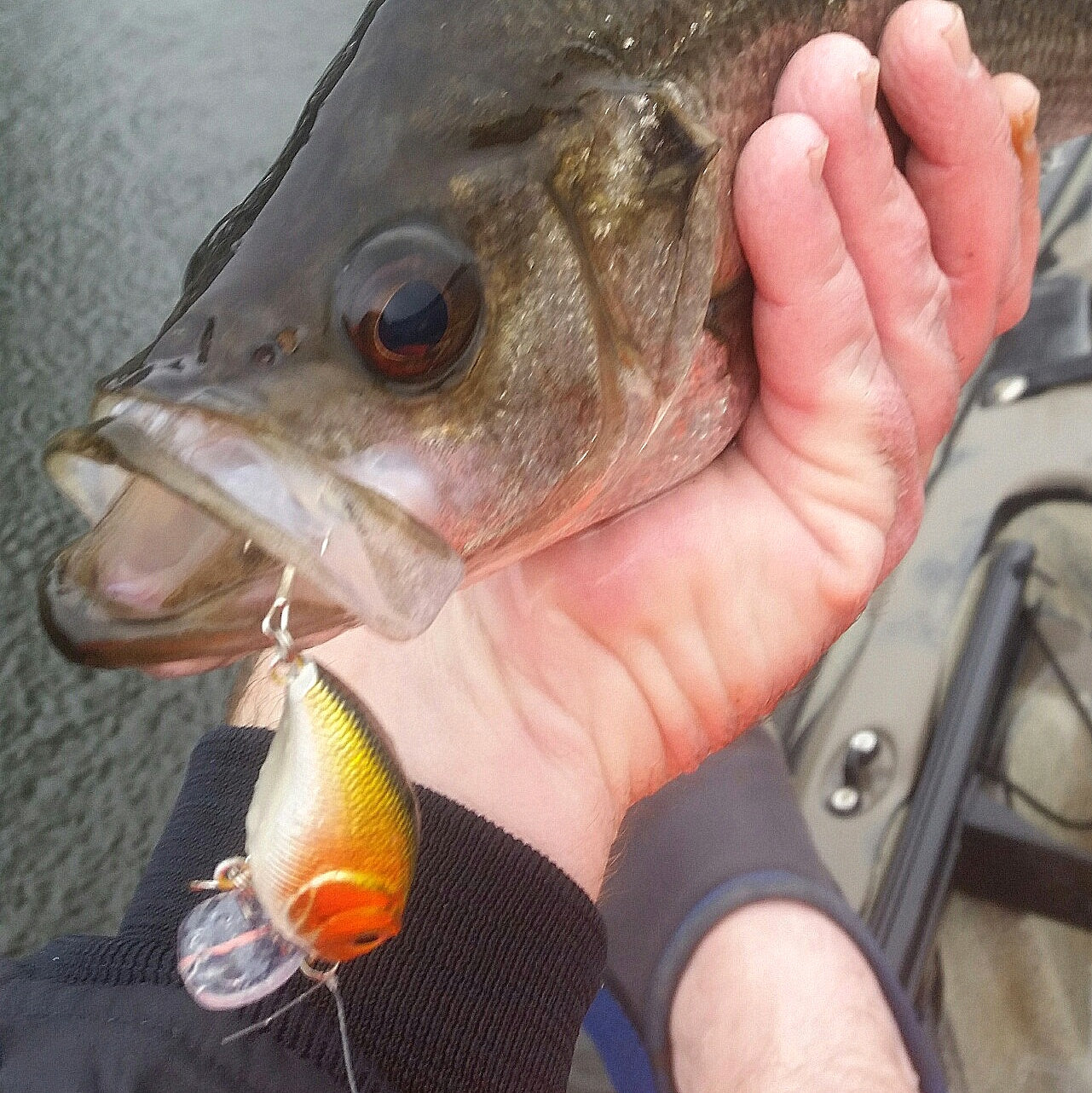 Toppu Mizzu Wakebait, 55mm, Purple Flash