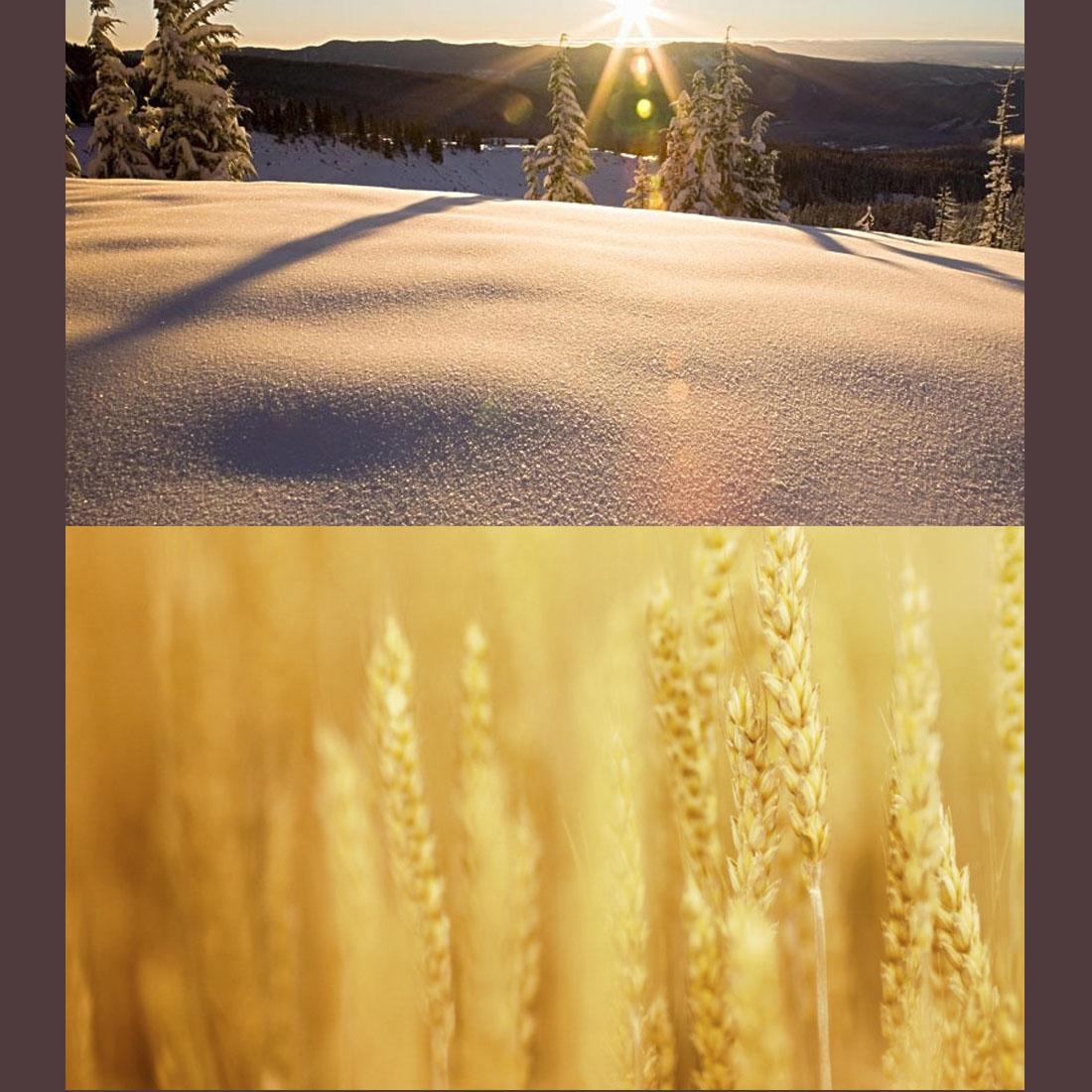 Xiaomi Xiaoyi Yi Ii 4K Action Camera With Professional Slim Hd Mcuv Lens Filter-1915196993895010312