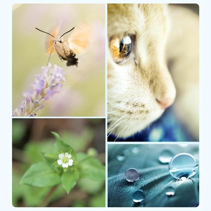 52Mm 8X Filter Kit For Gopro Hero 7 / 6 / 5 With Adapter And Lens Cap-1915198055993446405