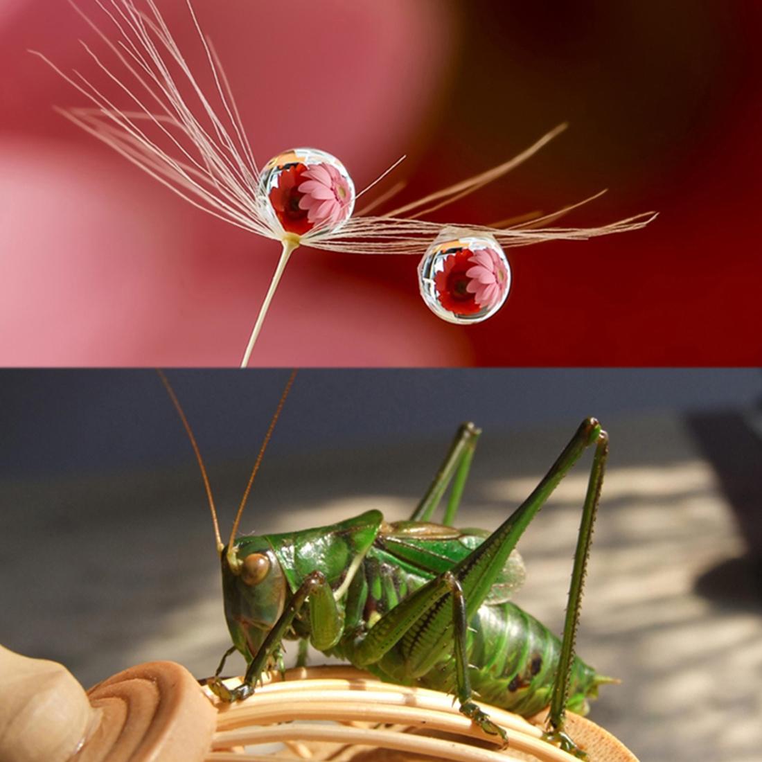 10X Macro Lens For Gopro Hero5 Action Camera - 52Mm-1915197866071166982