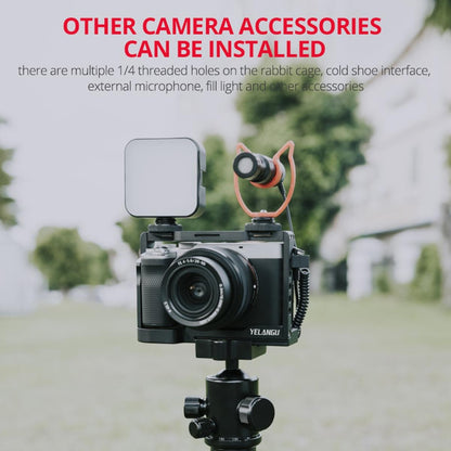 Sony Alpha 7C Video Camera Cage Stabilizer - Black-1915196677770317831