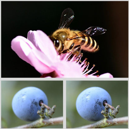 16X Round Filter Housing For Gopro Hero8-1915197248363433986