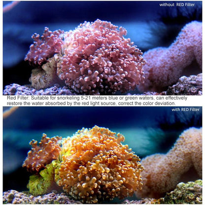 Diving Filter For Dji Action Camera - Oa Fi180-1915197000995966981