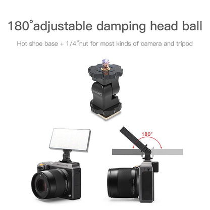 800Lm Super Slim Led Video Light For On-Camera And Selfie Photography-1964932286612901897