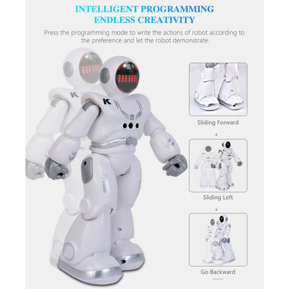 Gesture Control Robot - Silver R18-1964932190756278276