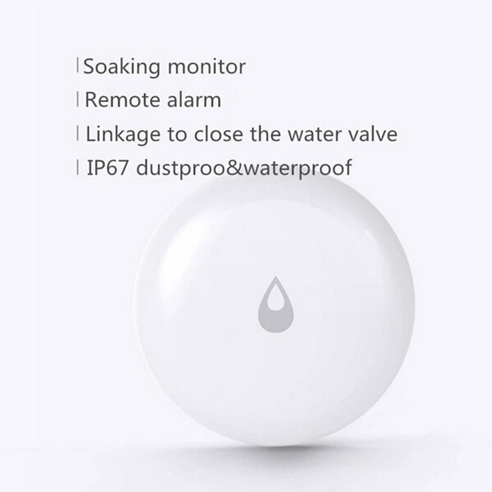 Remote Water Leak Detector For Home Security-1915197589918191619