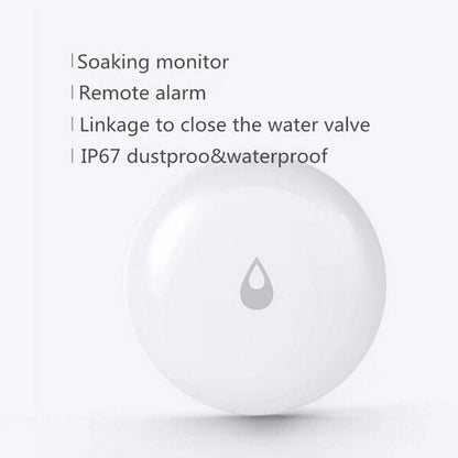 Remote Water Leak Detector For Home Security-1915197589918191619
