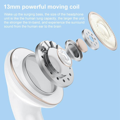 True Wireless Stereo Bluetooth 5.0 Earphones - Va01-1915198252182016004