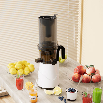 Spector Electric Cold Press Juicer Whole Fruit-1973193529526194182