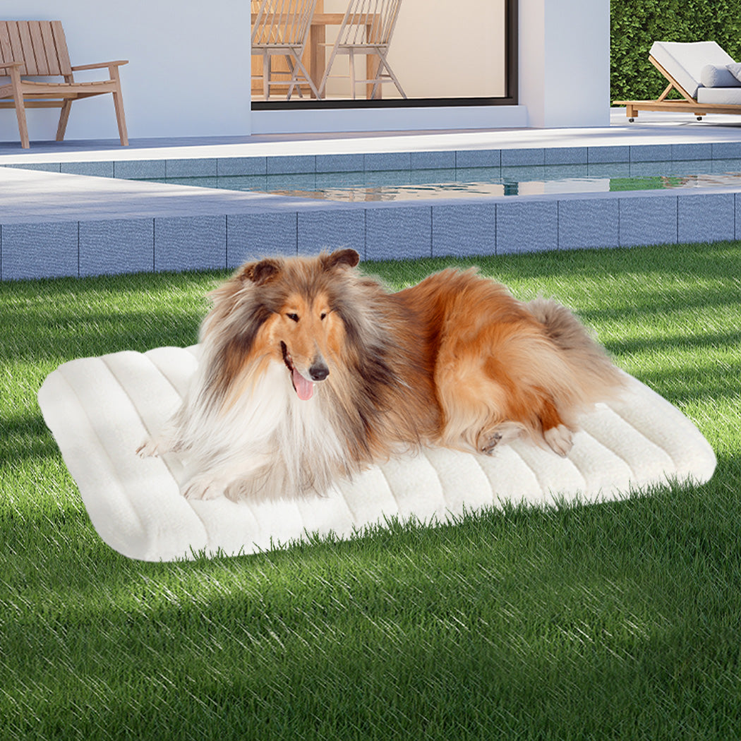 Pawz XL Size Orthopedic Dog Bed with Sherpa Plush Removable Cover in White-1975420345791942663