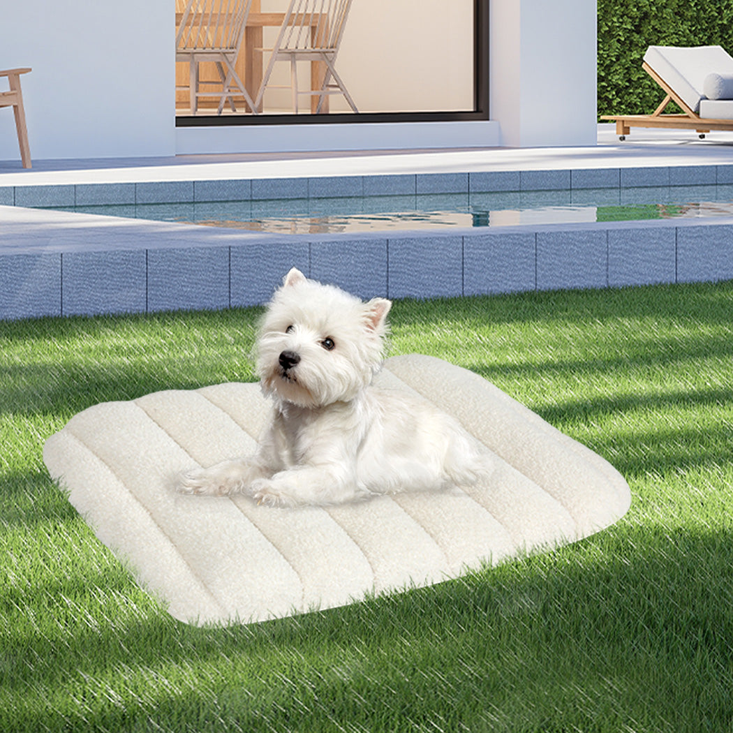 Pawz M Size Orthopedic Dog Bed with Sherpa Plush Removable Cover in White-1975420345263460359