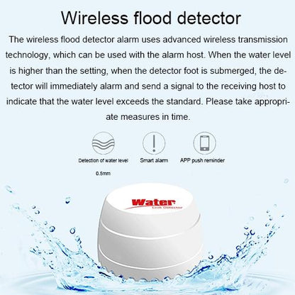 Water Leak Detector With Dual Sensors - White-1915196624582348809
