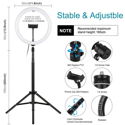 11.8 Led Ring Light With Tripod And Phone Clamp - 3 Modes Dual Colour Temperature Dimmable - Black-1915196705314312196