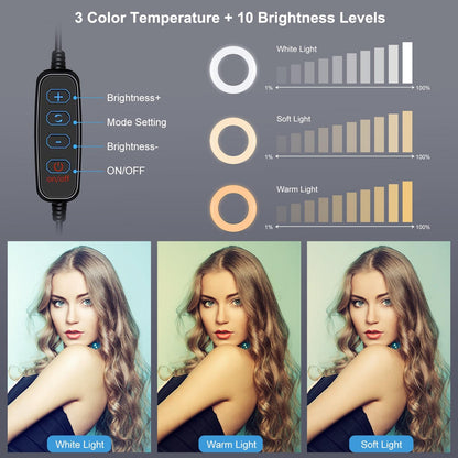 7.9 Led Ring Light With Usb 3 Modes Dual Colour Phone Clamp-1915196492566630407
