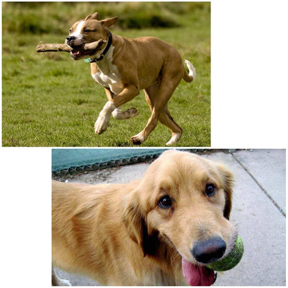 Universal Chest Mount For Gopro Hero12 - Adjustable-1915197503888822278