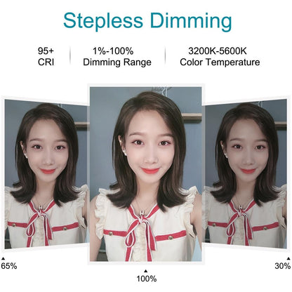 7.9 Usb 3 Modes Dimmable Dual Colour Led Ring Light With Mirror For Vlogging And Photography - Black-1915196712578846728