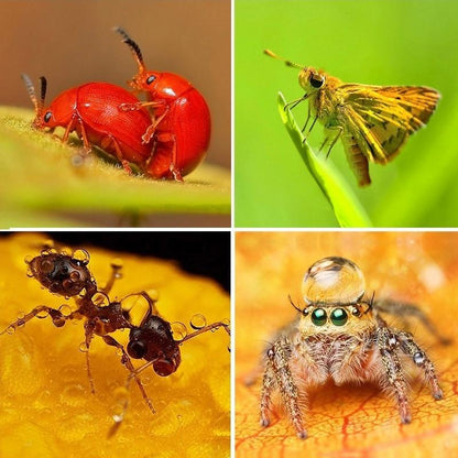 58Mm Close Up Lens Filter Set For Gopro Hero3 - 6-In-1 Macro Adapter Ring-1915196993723043846