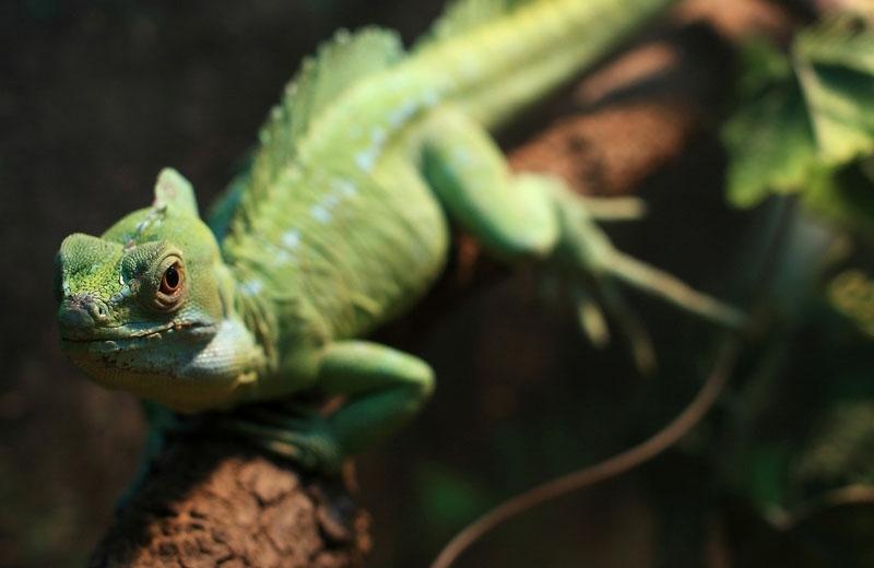 Enhance Image Quality With Nd Filters For Gopro Hero4 / 3 / 3 Sports Action Camera-1915197494904623106