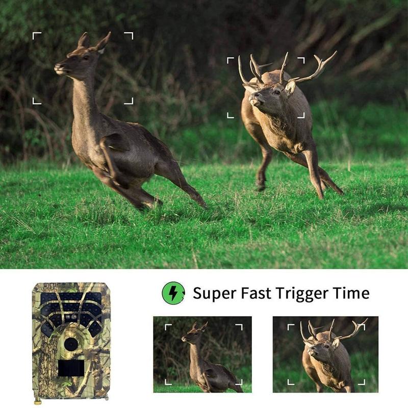 720P Infrared Night Vision Wildlife Camera - 120 Degree Wide Angle-1915197086173892611