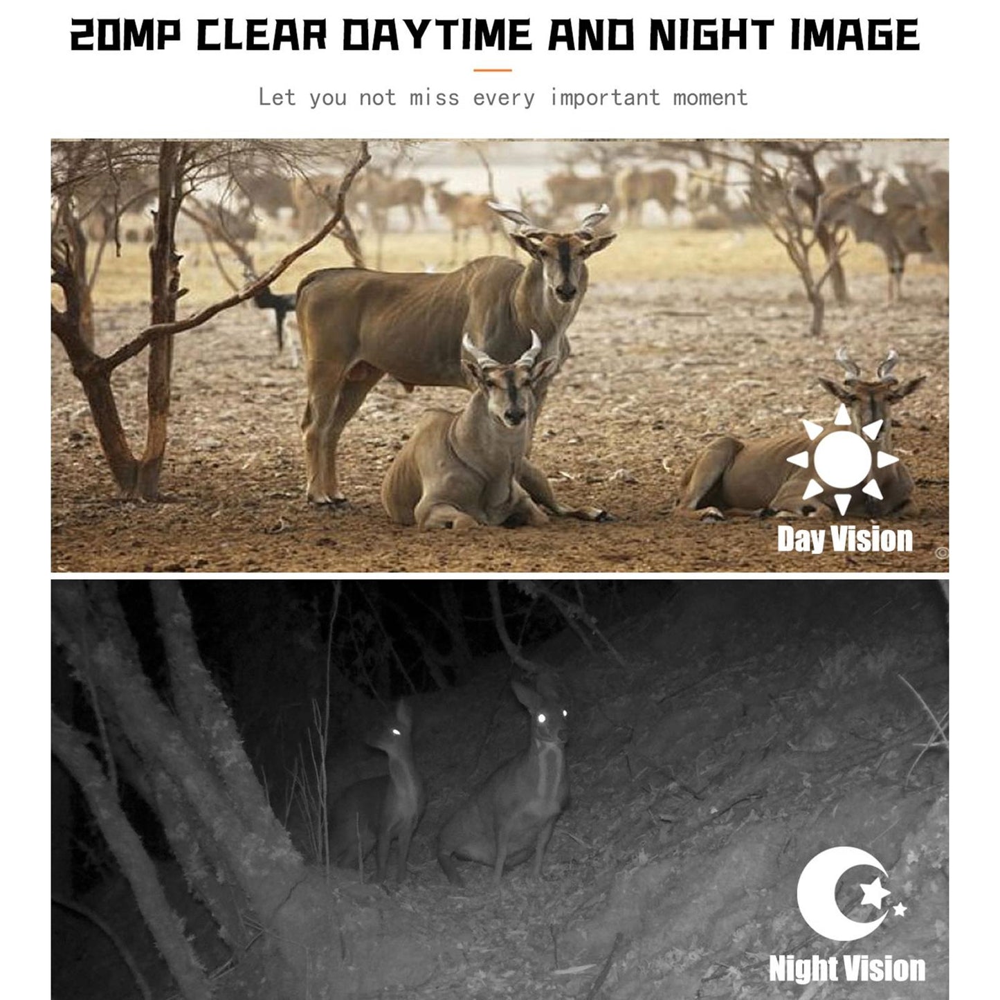 1080P Wildlife Hunting Camera With Night Vision For Outdoor Tracking-1922443457125814278