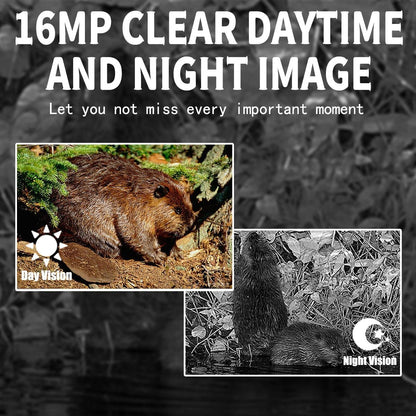 16Mp Outdoor Hunting Camera With Night Vision And Motion Activation-1915198407379652613