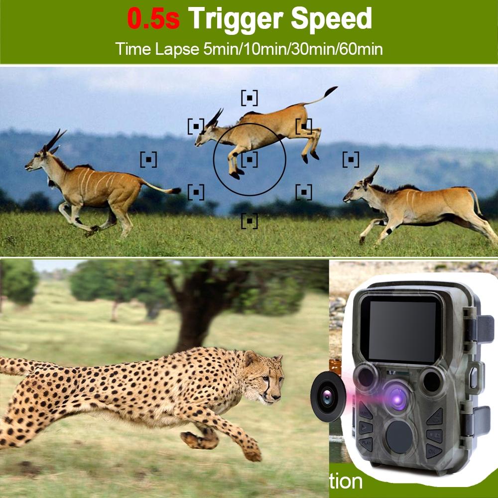 12Mp Hd 1080P Mini Hunting Camera For Tracking-1915197219032666116