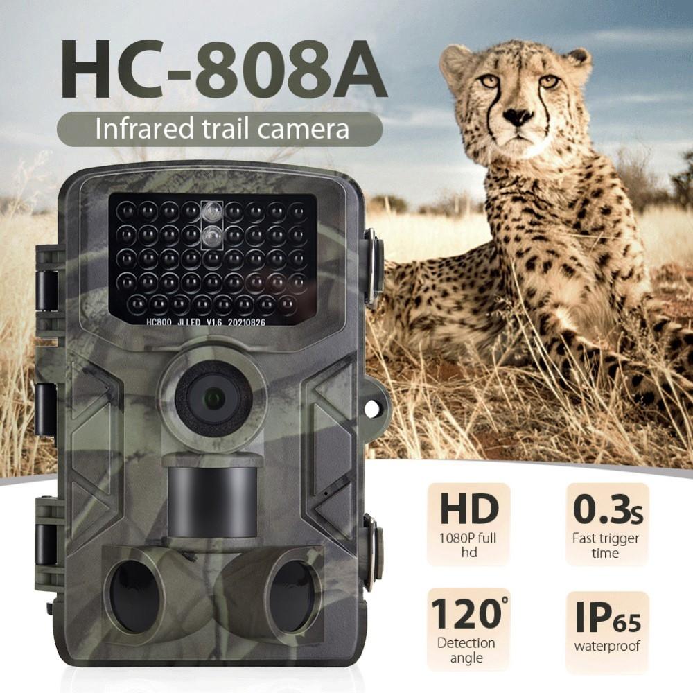 Outdoor Infrared Field Camera For Orchard And Forest Surveillance-1922443450263932931