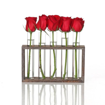 Minimalist Hydroponic Glass Vase With Wooden Frame For Coffee Shop Decor-1915198108057341953