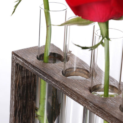 Minimalist Hydroponic Glass Vase With Wooden Frame For Coffee Shop Decor-1915198108057341956