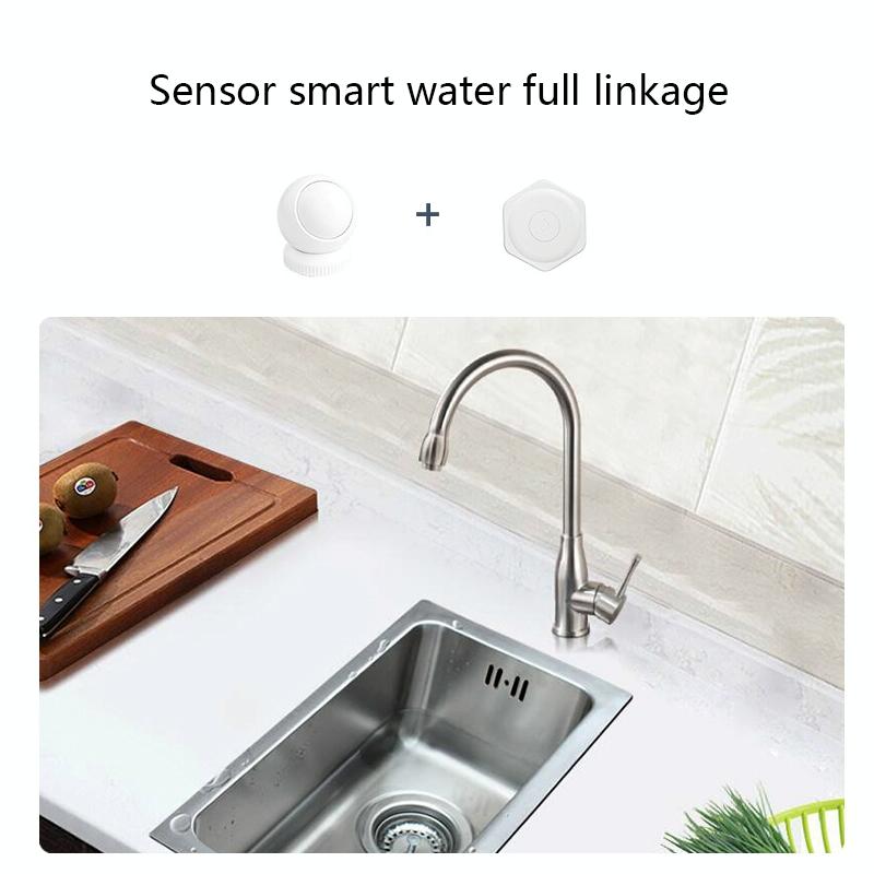 Tuya Smart Human Motion Sensor - Anti-Theft Infrared-1915197103932575752