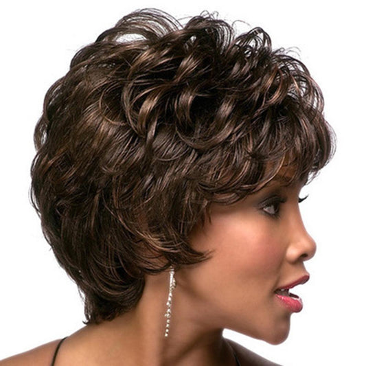 Curly Hair Wig With Side Bangs - Short Length-1915197122165215233