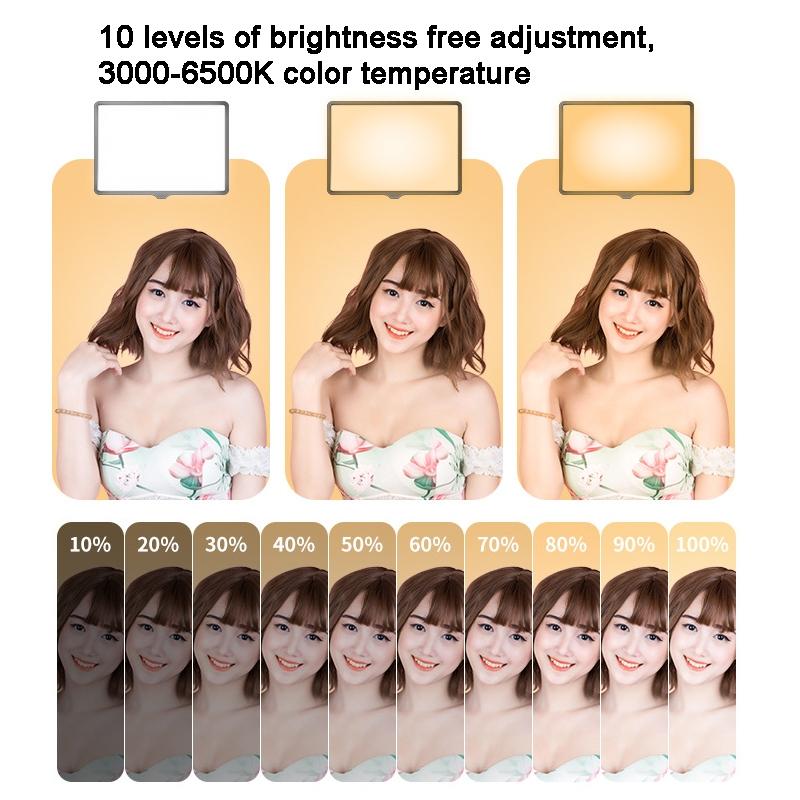 10 Flat-Panel Live Fill Light - Adjustable 3000-6500K Temperature-1915198295857303555