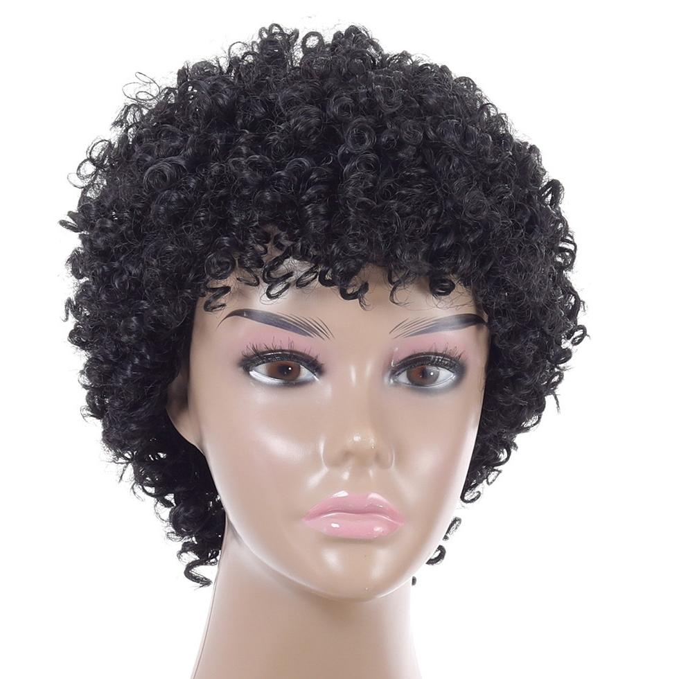 Silk Short Curly Wig - High Temp Natural Look-1915196898776584199