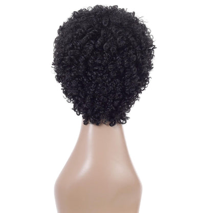 Silk Short Curly Wig - High Temp Natural Look-1915196898776584195
