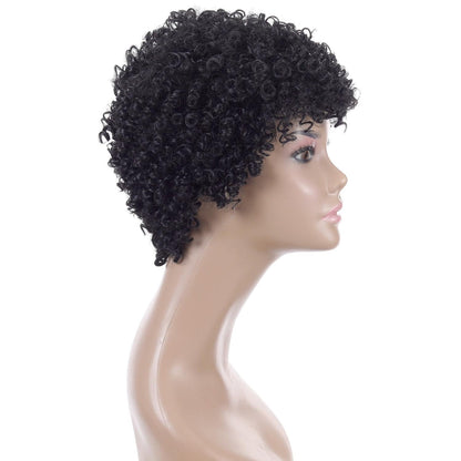 Silk Short Curly Wig - High Temp Natural Look-1915196898776584196