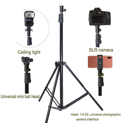 Camera Light Stand Conversion Head With 1 / 4-Inch Mount And Umbrella Holder-1915197760353734662