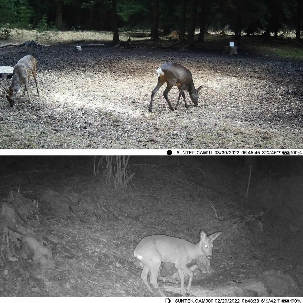 Wireless Bluetooth Control Camera With Infrared Tracking And Wifi Connectivity-1915197449467727880