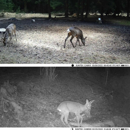 Wireless Bluetooth Control Camera With Infrared Tracking And Wifi Connectivity-1915197449467727880