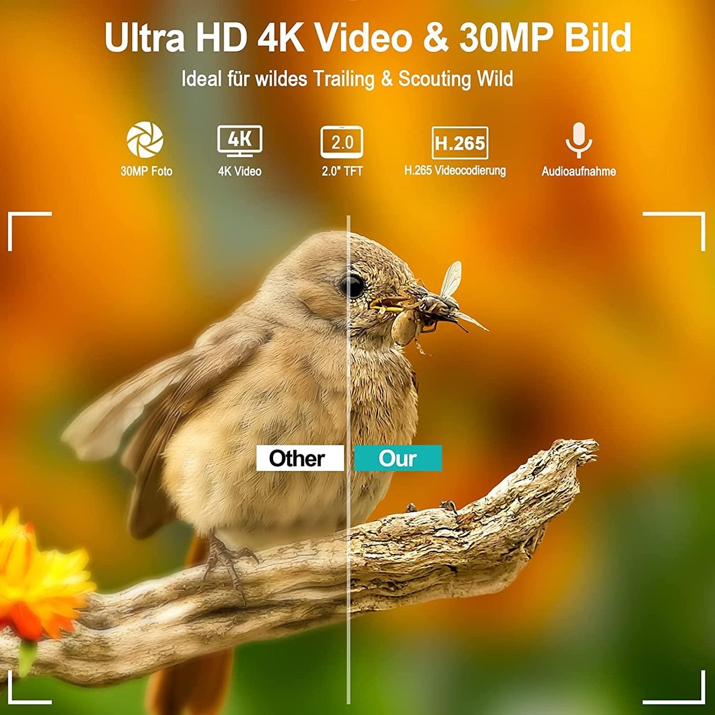 36Mp 4K 4G Hunting Camera With App Control For Remote Viewing-1922443457314557960