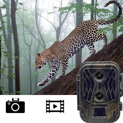 50Mp 4K Dual Lens Infrared Hunting Camera For Outdoor Rainfall And Fog-1915198263036874752