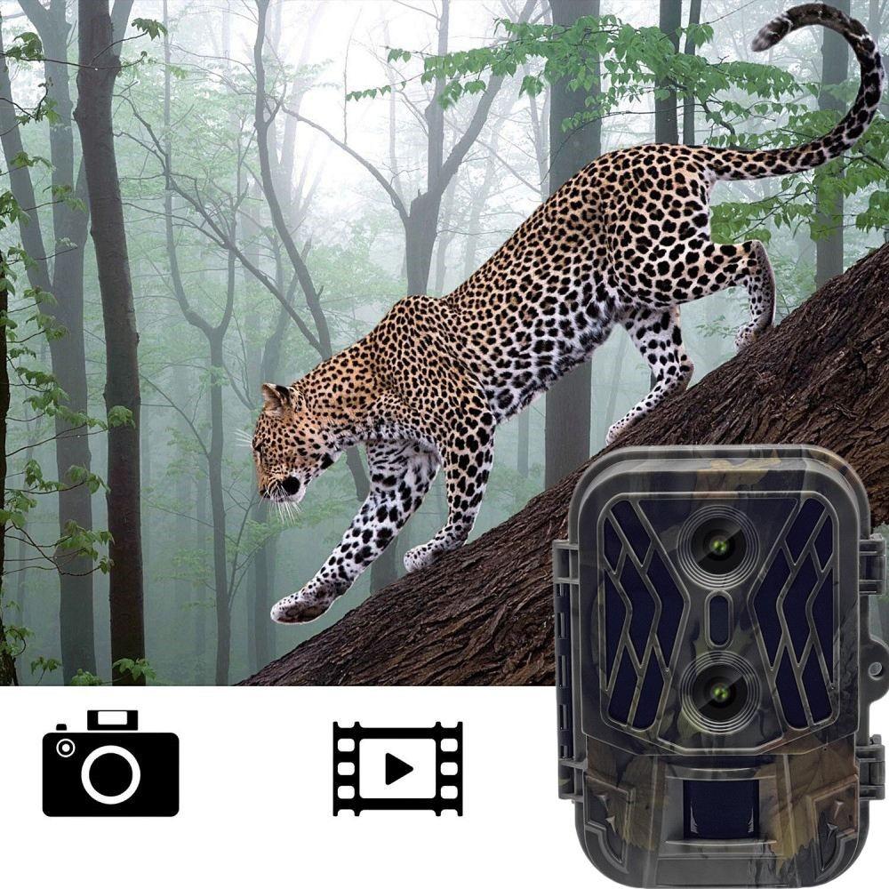 50Mp 4K Dual Lens Infrared Hunting Camera For Outdoor Rainfall And Fog-1915198263036874760