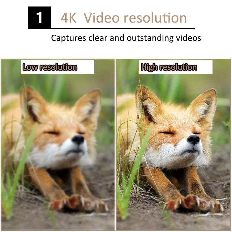 Waterproof Infrared Night Vision Camera For Outdoor Monitoring-1915196813007261704