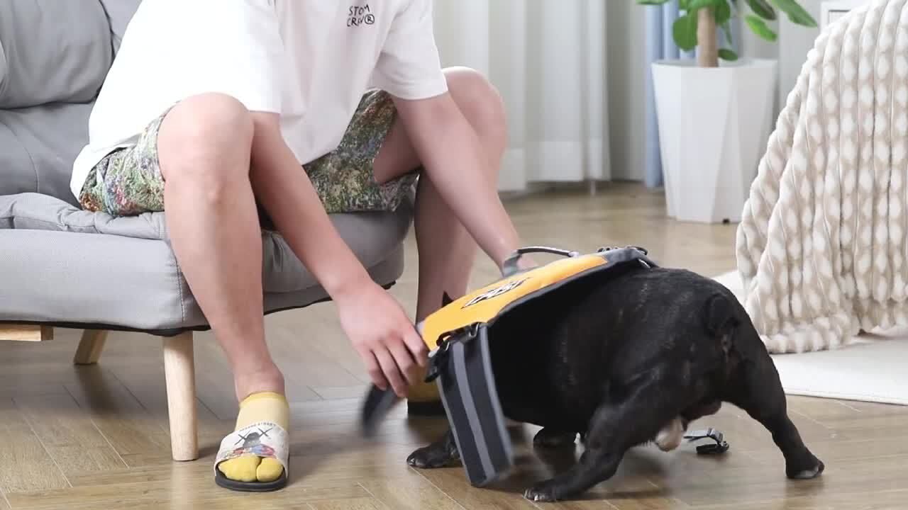 Safe Playtime: The ultimate dog buoyancy vest designed for water adventures. Pet life jacket. Christmas, Black Friday pet products