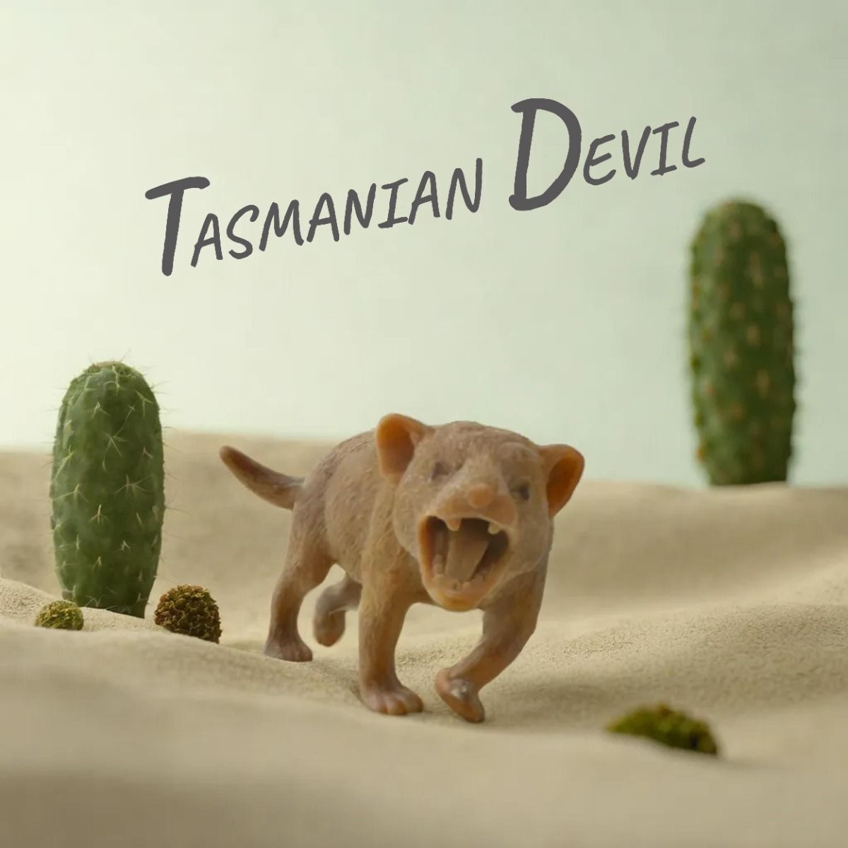 Stretchy Squishy Australian Wildlife Gift Set | Sensory Animal Toys | 5-Pack | Kenisy