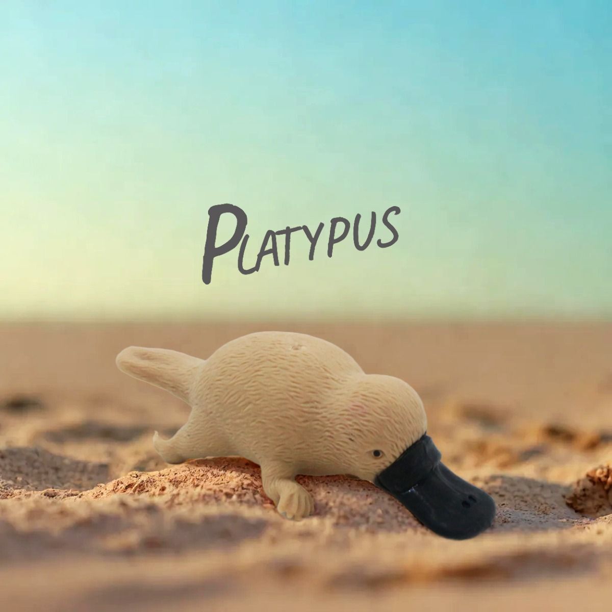 Stretchy Squishy Australian Wildlife Gift Set | Sensory Animal Toys | 5-Pack | Kenisy