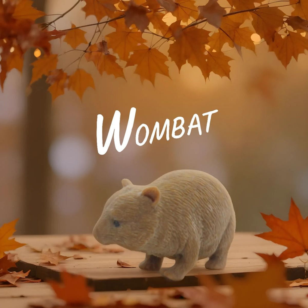 Stretchy Squishy Australian Wildlife Gift Set | Sensory Animal Toys | 5-Pack | Kenisy