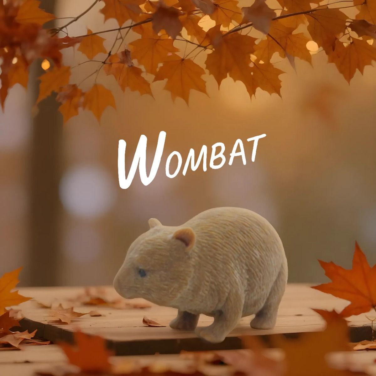 Stretchy Squishy Australian Wildlife Gift Set | Sensory Animal Toys | 5-Pack | Kenisy