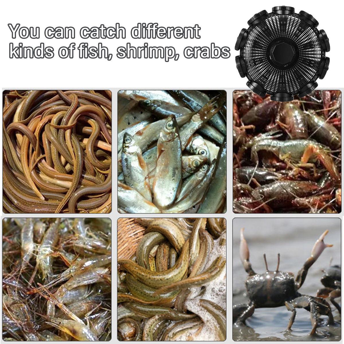 10Hole Eel Fishing Trap Cage Loach Fish Shrimp Net Folding Portable Catch Basket