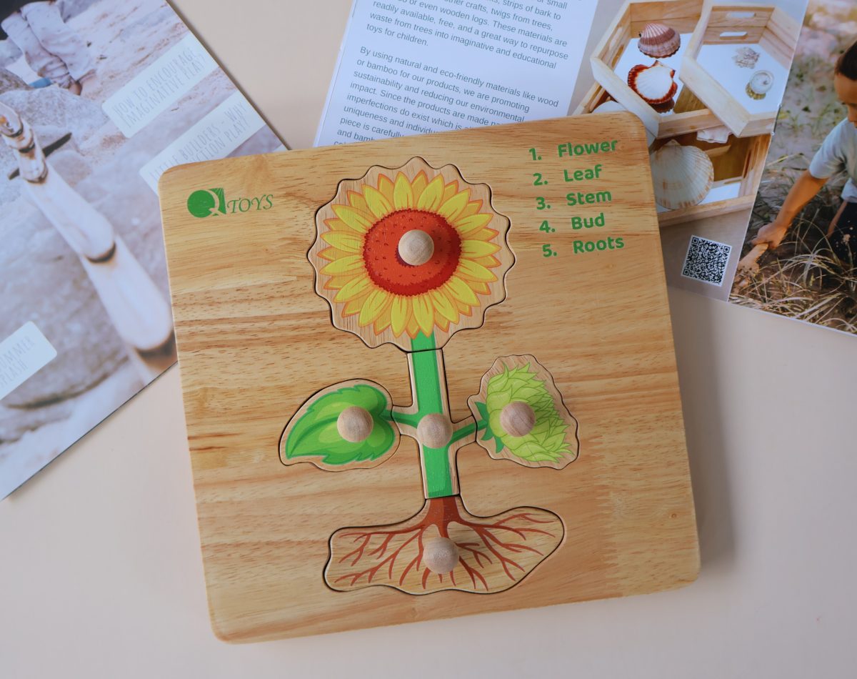 Montessori Parts of a Plant Puzzle