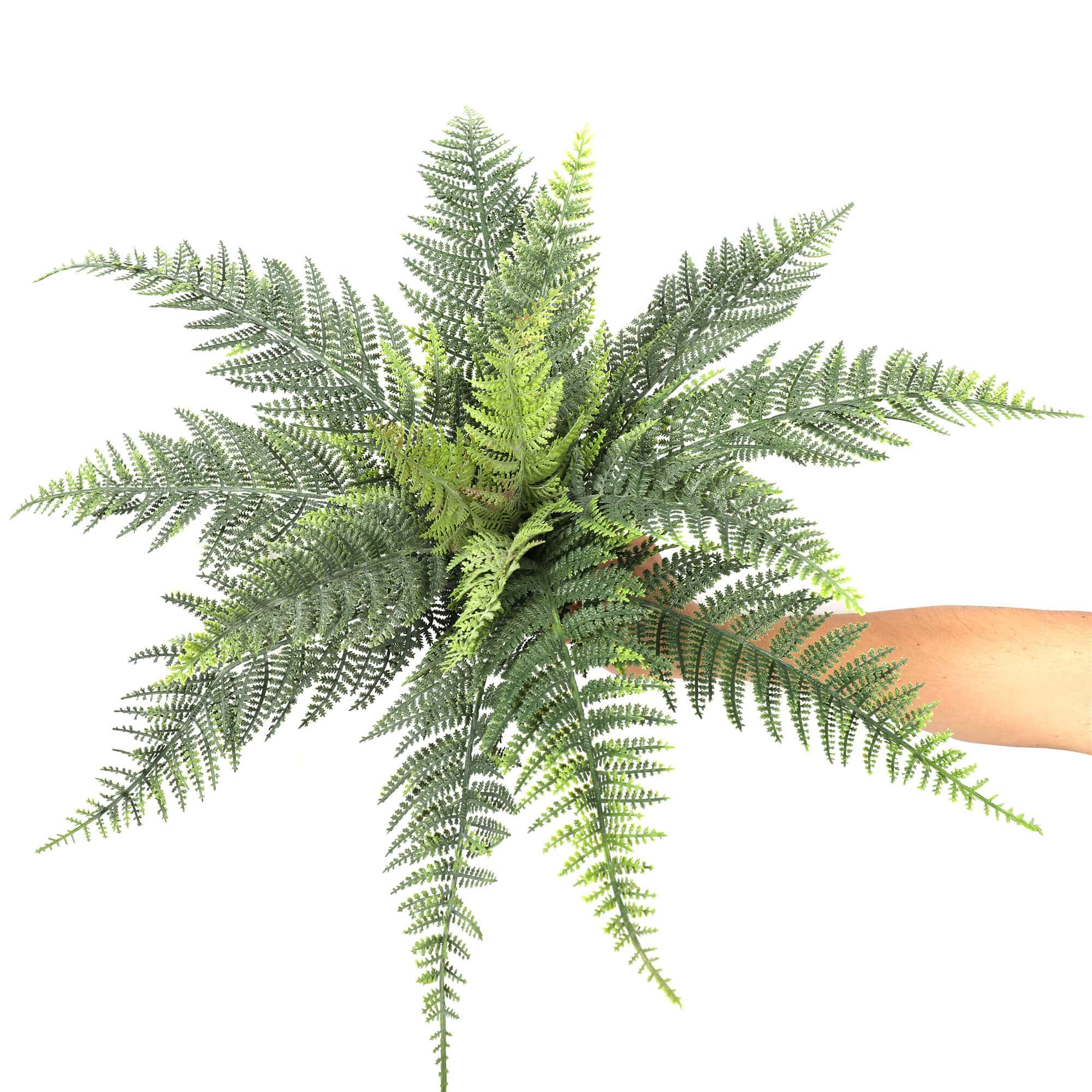 Premium Artificial Australian Fern UV Resistant 60cm - Bens Market Place